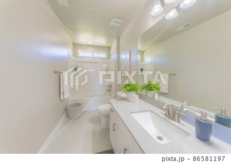 White bathroom interior with indoor plants decorations White bathroom interior with indoor plants decorations 86581197
