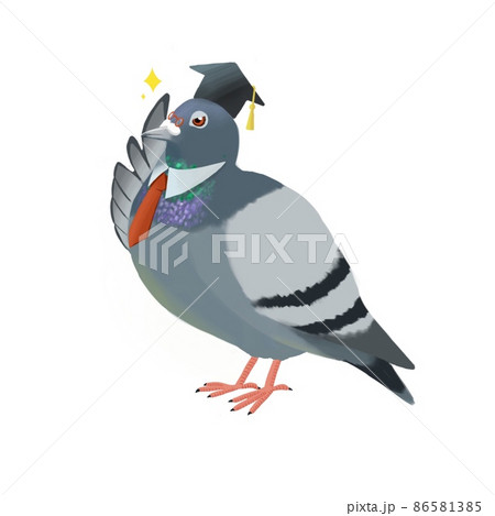 博士帽をかぶった賢そうでメガネをさわっている鳩 86581385