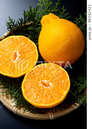 デコポン　黒バック 86582421