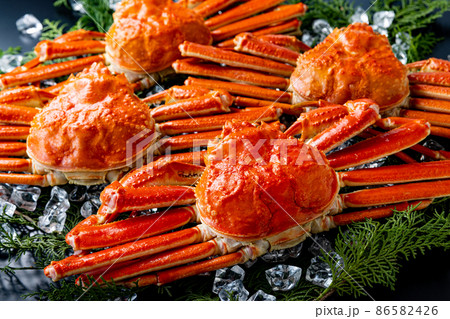 カニ　高級　黒バック 86582426