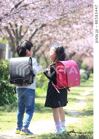 桜並木で会話する小学生男女二人 桜並木で会話する小学生男女二人 86583447