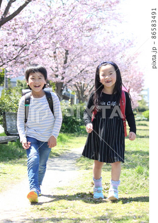桜並木でカメラ目線で笑顔の小学生男女2人 桜並木でカメラ目線で笑顔の小学生男女2人 86583491