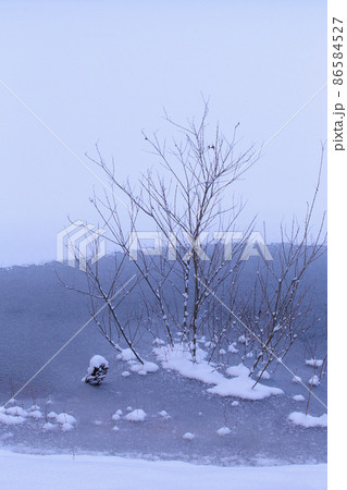 冬景色 雪景色 里山 沼辺 湖面 雪 初冬 凍結 冬景色 雪景色 里山 沼辺 湖面 雪 初冬 凍結 86584527