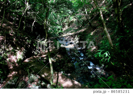 天滝 兵庫県養父市大屋町にある日本の滝100選に選ばれた名瀑 そこから流れる渓流天滝川 天滝 兵庫県養父市大屋町にある日本の滝100選に選ばれた名瀑 そこから流れる渓流天滝川 86585231