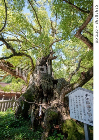 大三島　大山祇神社 86585625