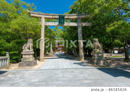 大三島　大山祇神社 86585626