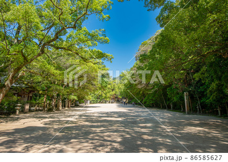 大三島　大山祇神社 86585627