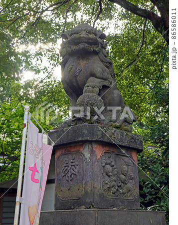 阿佐ヶ谷神明宮(杉並) 阿佐ヶ谷神明宮(杉並) 86586011