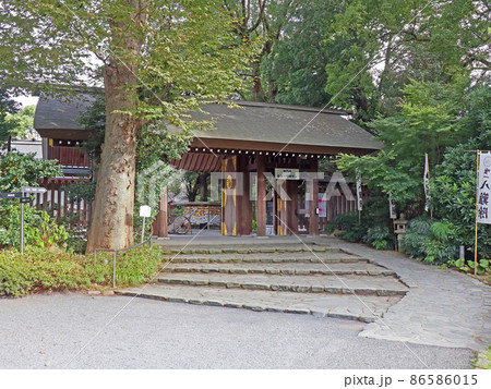 阿佐ヶ谷神明宮（杉並） 86586015