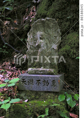 天滝　兵庫県養父市大屋町の日本の滝100選に選ばれた名瀑　そこから流れる渓流天滝川沿いの天瀧不動尊 86586045