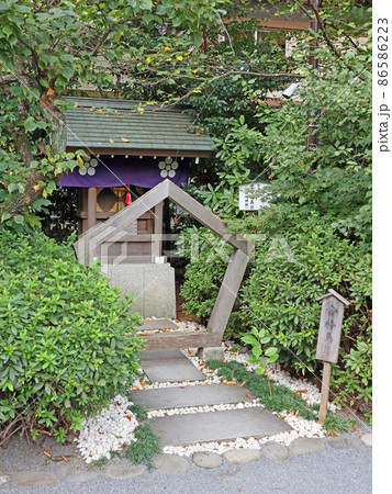 阿佐ヶ谷神明宮（杉並） 86586223