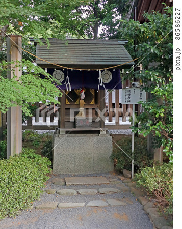 阿佐ヶ谷神明宮（杉並） 86586227