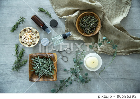 ハーブのある暮らし ハーブのある暮らし 86586295