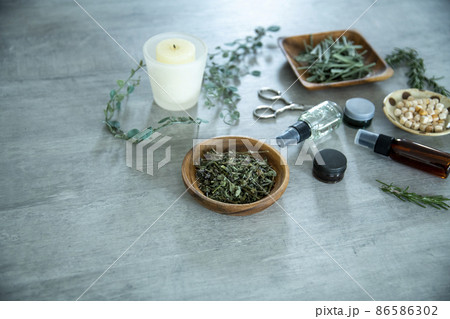 ハーブのある暮らし ハーブのある暮らし 86586302