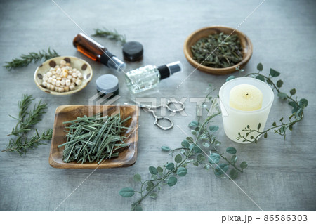 ハーブのある暮らし ハーブのある暮らし 86586303