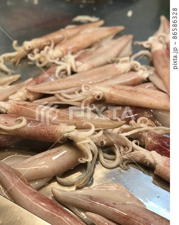 台湾産イカ 86586328