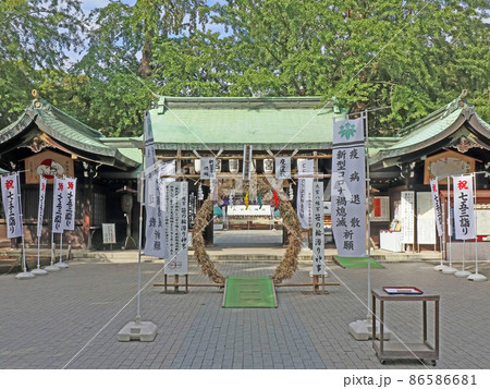 大宮八幡宮（杉並） 86586681