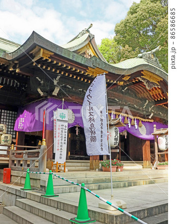 大宮八幡宮（杉並） 86586685