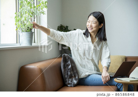 植物を育てる暮らし 86586848