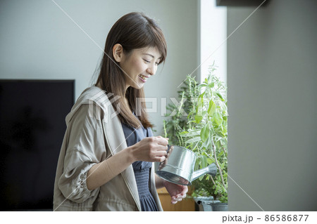 ハーブのある暮らし 86586877