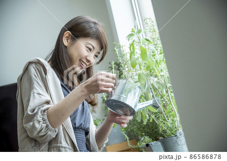 ハーブのある暮らし 86586878