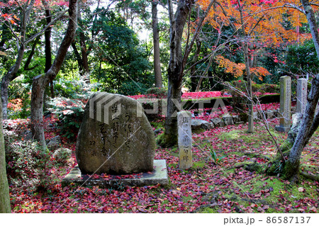 京都・長岡京　光明寺の紅葉 86587137