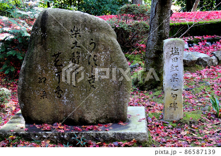 京都・長岡京 光明寺の紅葉 京都・長岡京 光明寺の紅葉 86587139
