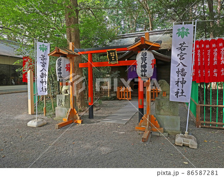 大宮八幡宮(杉並) 大宮八幡宮(杉並) 86587281