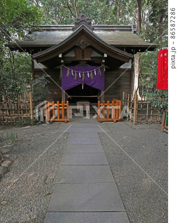 大宮八幡宮（杉並） 86587286