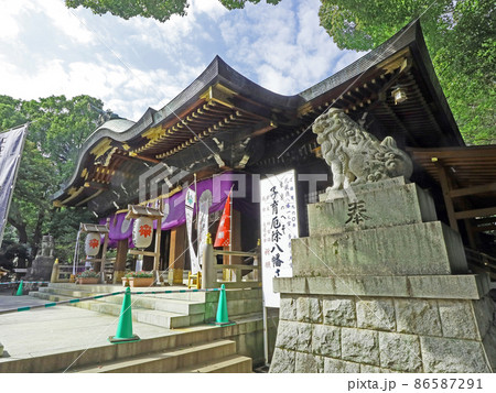大宮八幡宮(杉並) 大宮八幡宮(杉並) 86587291