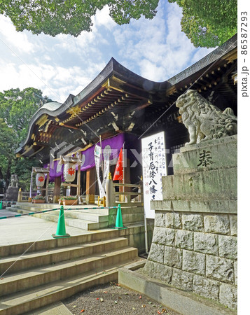 大宮八幡宮(杉並) 大宮八幡宮(杉並) 86587293