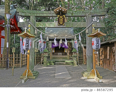 大宮八幡宮（杉並） 86587295