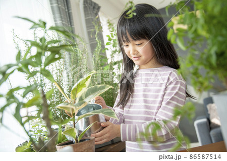 植物を育てる暮らし 植物を育てる暮らし 86587514