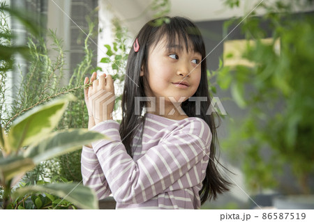 植物を育てる暮らし 植物を育てる暮らし 86587519