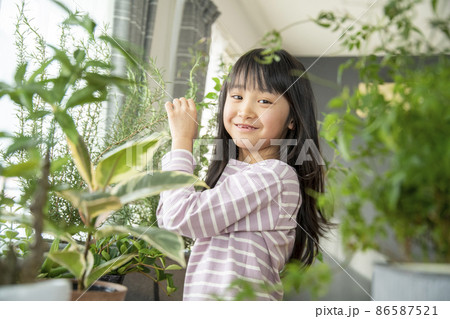 植物を育てる暮らし 植物を育てる暮らし 86587521