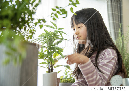 植物を育てる暮らし 植物を育てる暮らし 86587522