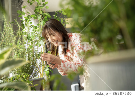 植物を育てる暮らし 植物を育てる暮らし 86587530