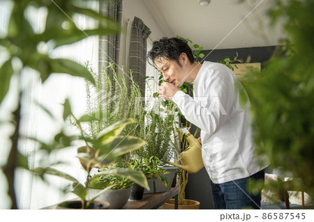 植物を育てる暮らし 植物を育てる暮らし 86587545