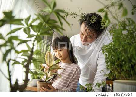 植物を育てる暮らし 86587554