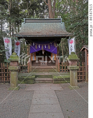 大宮八幡宮（杉並） 86587615