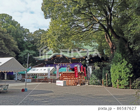 大宮八幡宮（杉並） 86587627