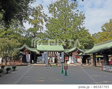 大宮八幡宮（杉並） 86587705