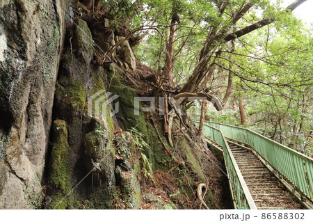 茨城県峯寺山西光院近くの球状花崗岩 86588302
