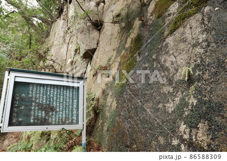 茨城県峯寺山西光院近くの球状花崗岩 茨城県峯寺山西光院近くの球状花崗岩 86588309