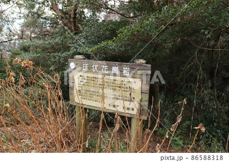 茨城県峯寺山西光院近くの球状花崗岩 86588318