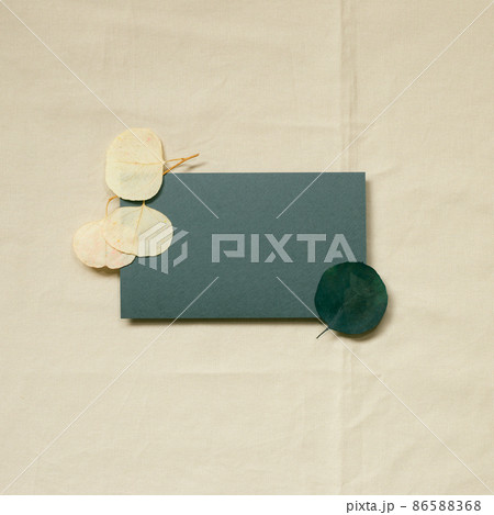 Blank paper sheet card and dry leaf decor on beige fabric background. top view, copy space. minimal invitation template Blank paper sheet card and dry leaf decor on beige fabric background. top view, copy space. minimal invitation template 86588368