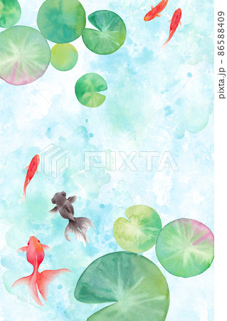 金魚と睡蓮の葉で構成した夏のイメージ背景 水彩イラスト 暑中見舞い のイラスト素材