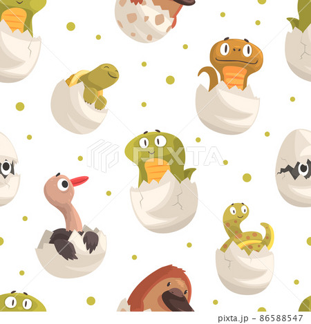 Chick and Reptile Hatching from Eggs Vector Seamless Pattern Chick and Reptile Hatching from Eggs Vector Seamless Pattern 86588547