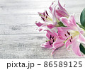 Pink Lily flowers on wooden background 86589125