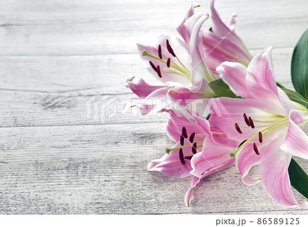 Pink Lily flowers on wooden background 86589125